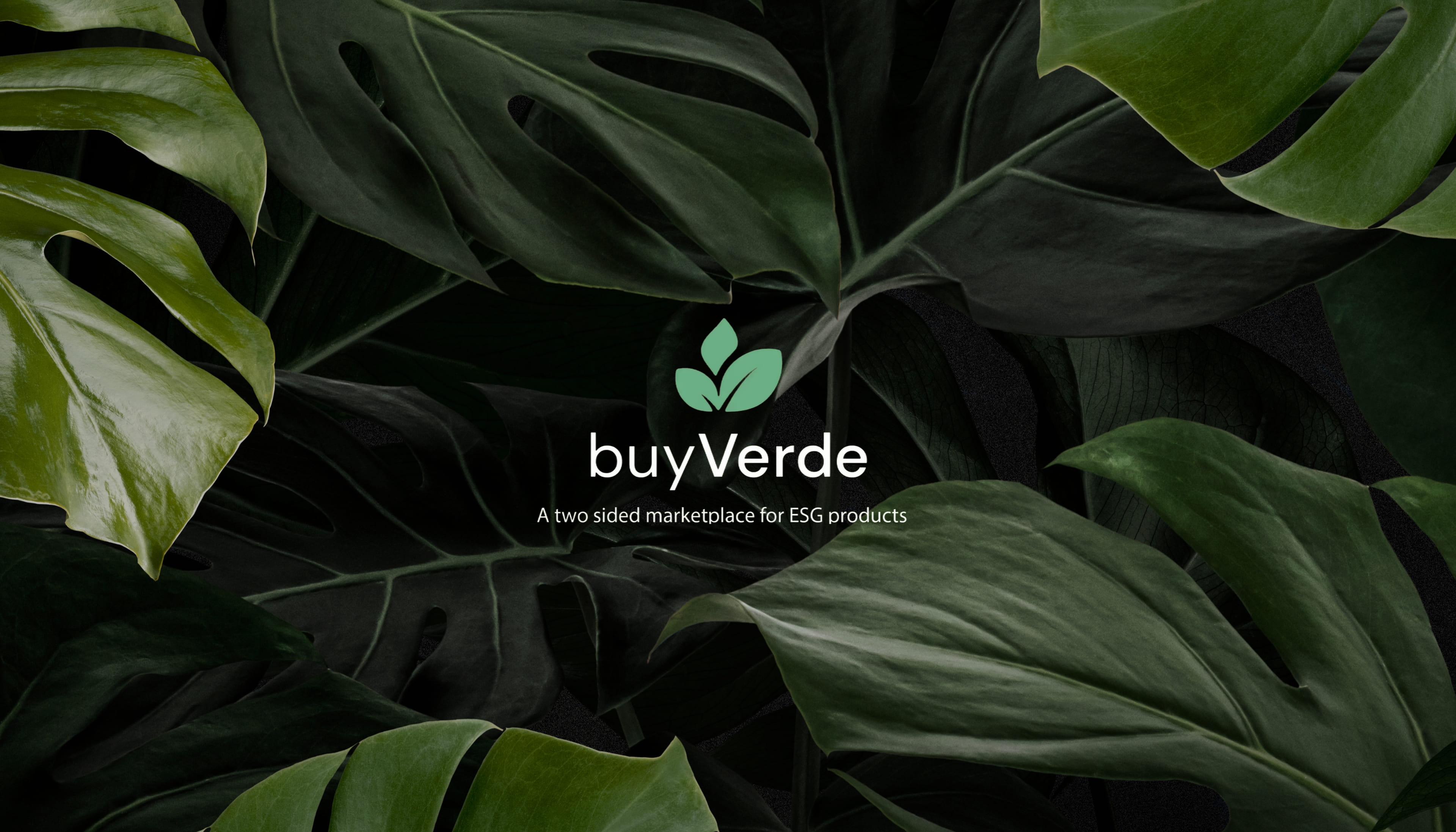 building-an-esg-marketplace-and-custom-shopify
