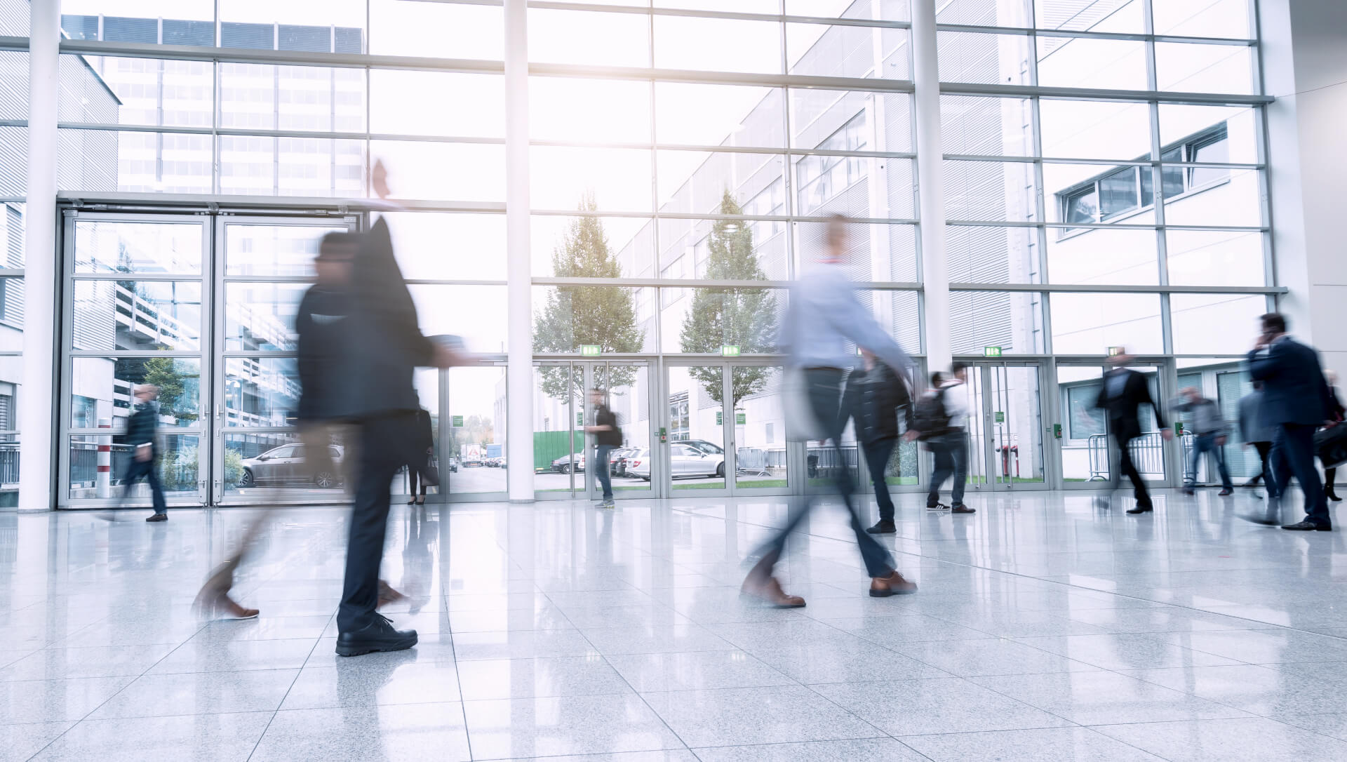 developing web solution