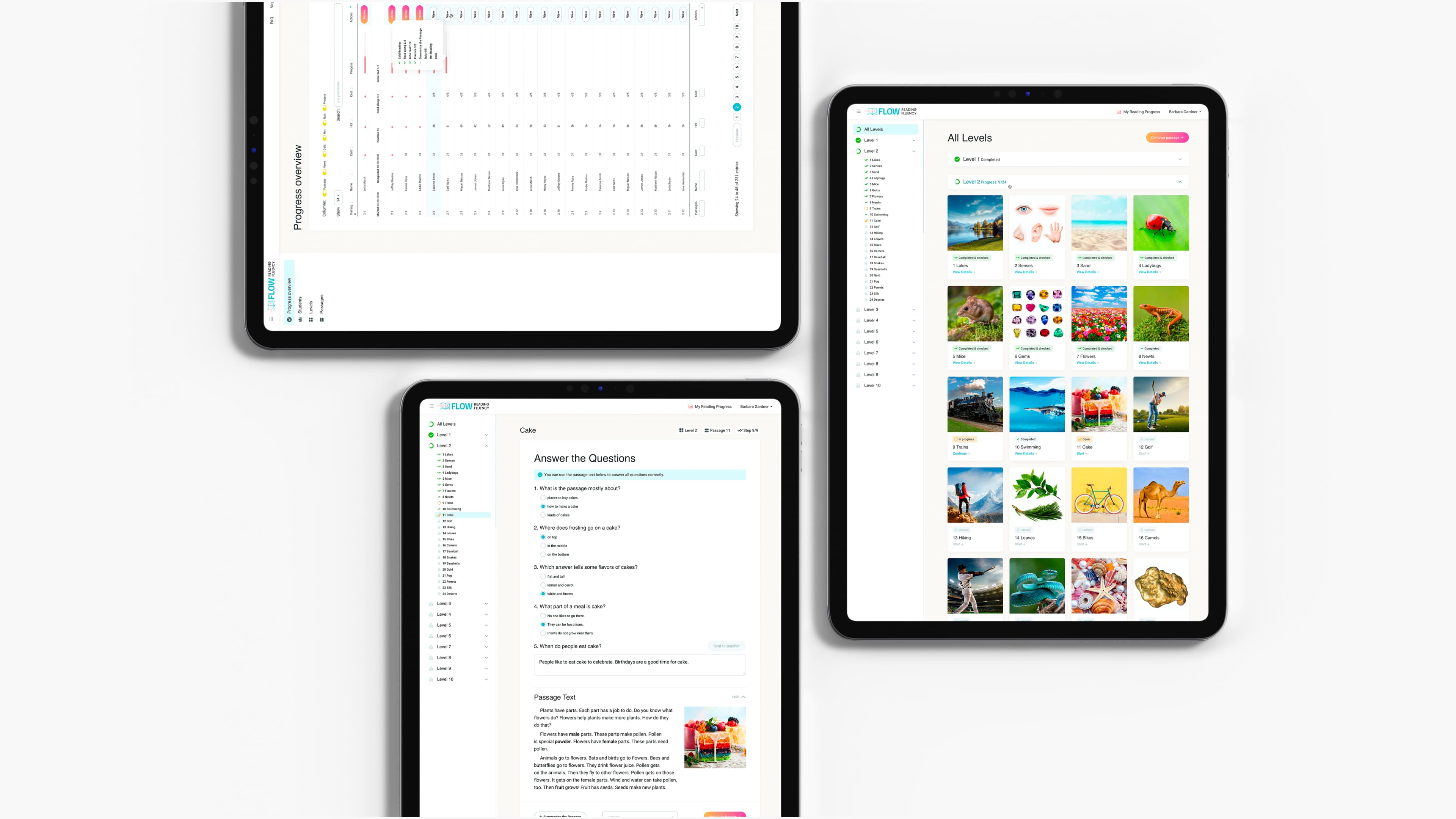 Flow Fluency challenges
