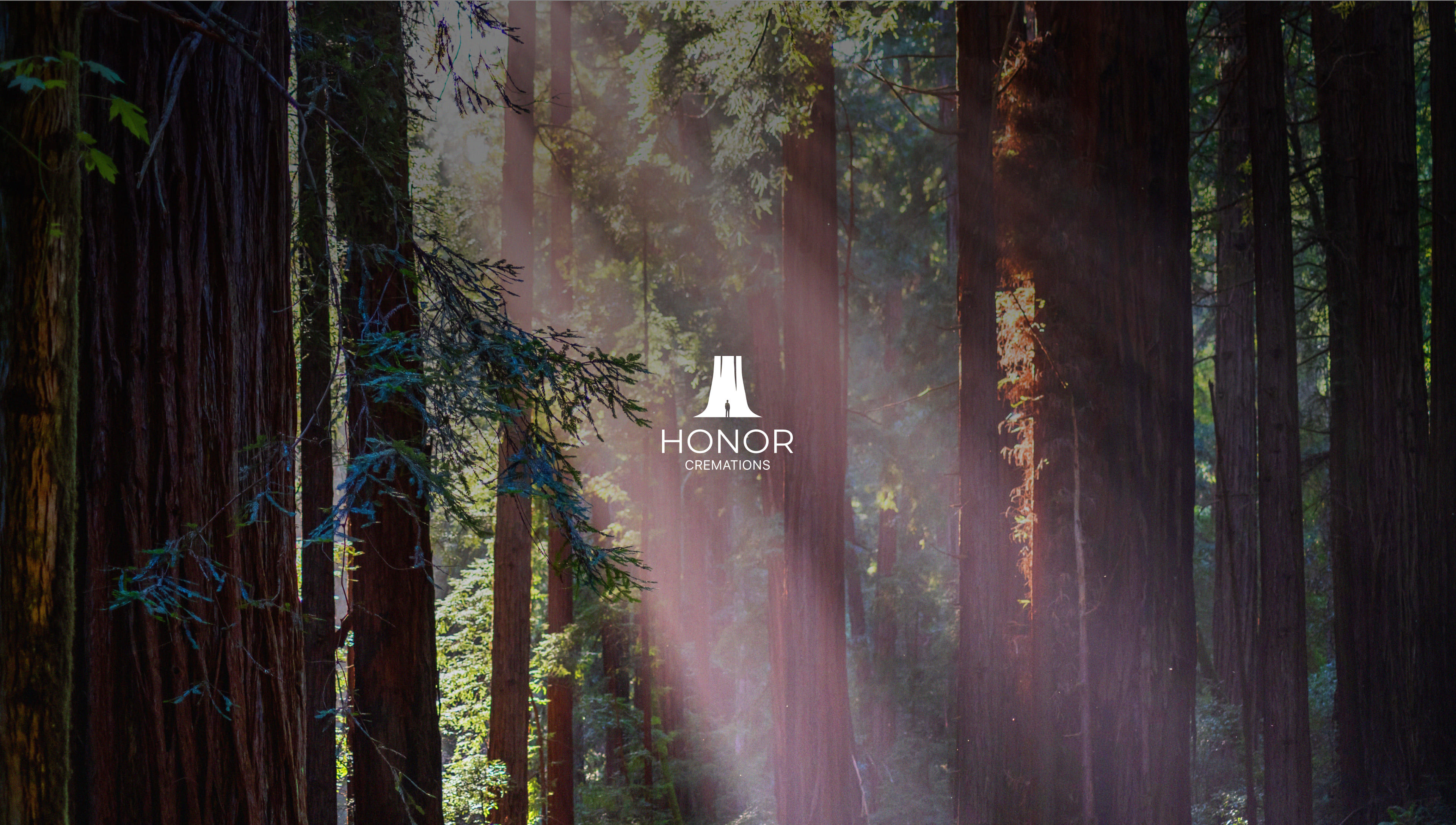 Hero - Honor Cremations