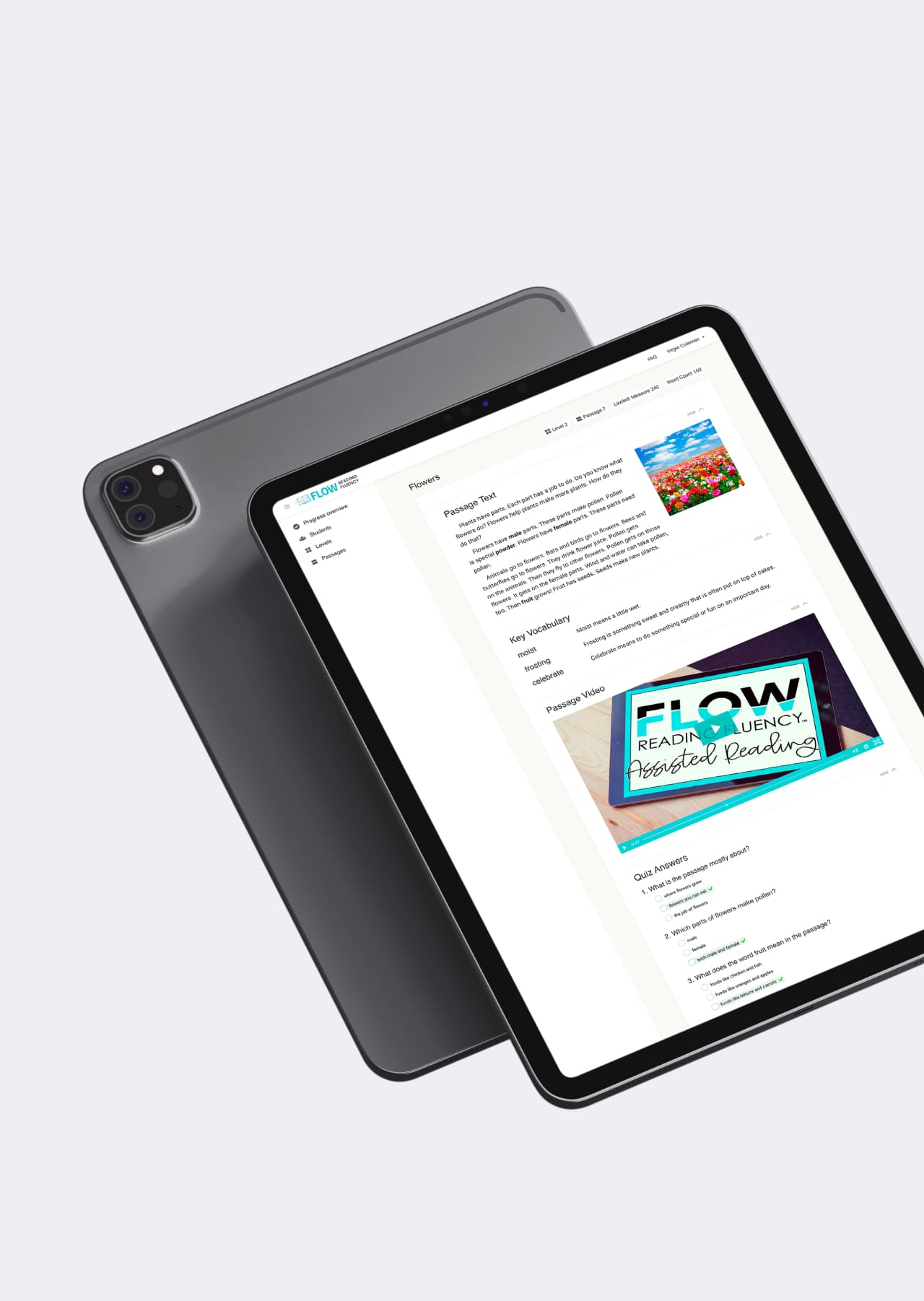 Flow Fluency Strategy 02