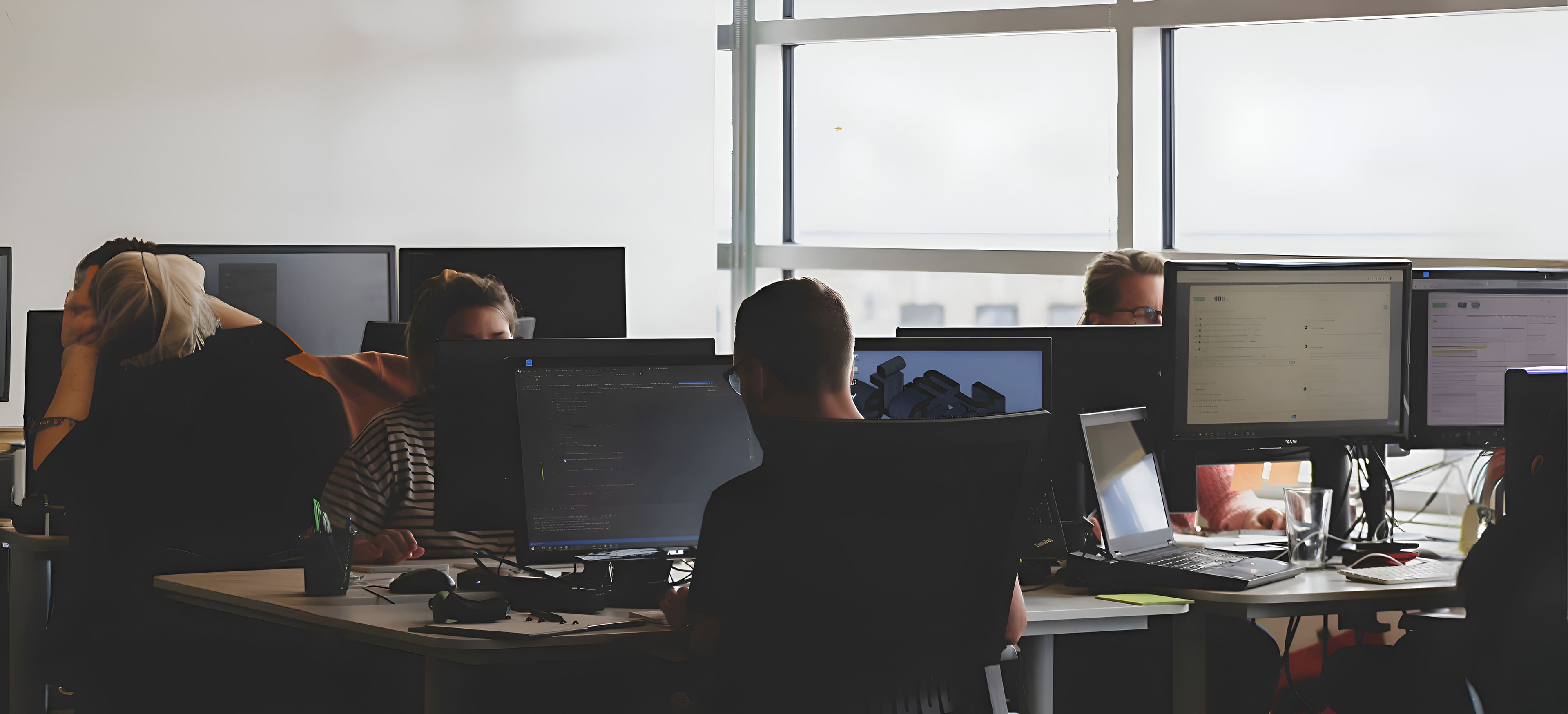 Software Development